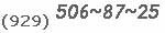 (929) 506~87~25